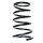 Fahrwerksfeder-Set hinten Schraubenfeder 306mm SPIDAN für NISSAN X-TRAIL I