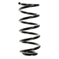 Fahrwerksfeder-Set hinten Schraubenfeder 303mm SPIDAN...