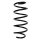 Fahrwerksfeder-Set vorne Schraubenfeder 320mm SPIDAN für OPEL CORSA C