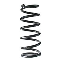 Fahrwerksfeder-Set hinten Schraubenfeder 272mm SPIDAN...