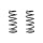 Fahrwerksfeder-Set hinten Schraubenfeder 272mm SPIDAN für HONDA CIVIC VII