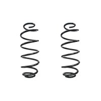 Suspension spring set rear coil spring 391mm SPIDAN for...