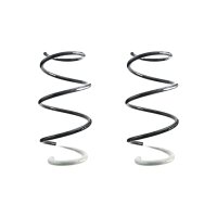 Fahrwerksfeder-Set vorne Schraubenfeder 319mm SPIDAN...