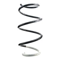 Suspension spring set front coil spring 319mm SPIDAN for...