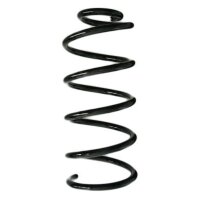 Fahrwerksfeder-Set hinten Schraubenfeder 308mm SPIDAN...