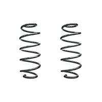 Fahrwerksfedern-Set hinten Schraubenfeder 301mm SPIDAN...