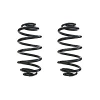 Fahrwerksfeder-Set hinten Schraubenfeder 294mm SPIDAN...