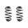 Suspension spring set rear coil spring 294mm SPIDAN for OPEL VECTRA C
