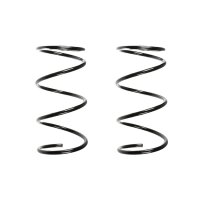 Suspension spring set front coil spring 305mm SPIDAN for...
