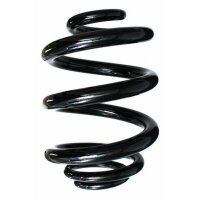 Fahrwerksfeder-Set hinten Schraubenfeder 252mm SPIDAN...