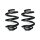 Suspension spring set rear coil spring 252mm SPIDAN for VW TRANSPORTER T5