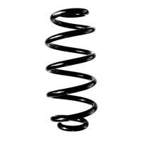 Fahrwerksfeder-Set hinten Schraubenfeder 249mm SPIDAN...