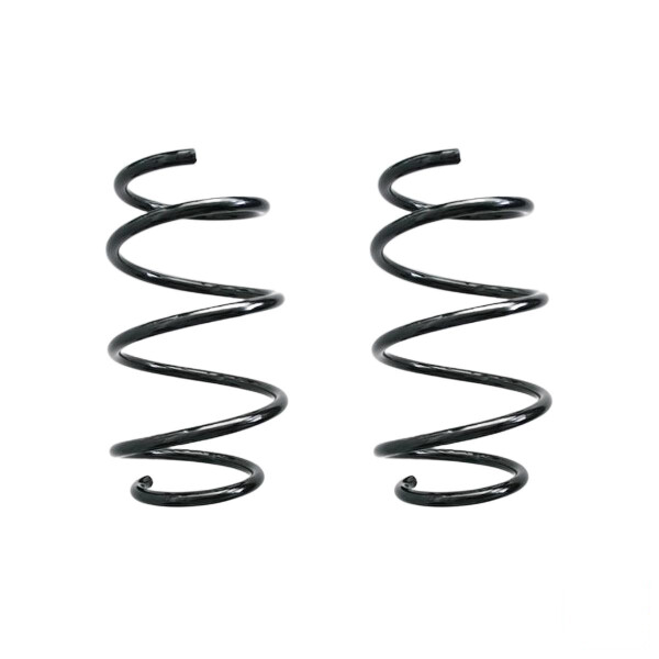 Suspension spring set front coil spring 310mm SPIDAN for BMW 3 E46