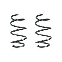 Fahrwerksfeder-Set vorne Schraubenfeder 310mm SPIDAN...