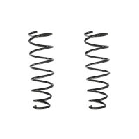 Fahrwerksfeder-Set hinten Schraubenfeder 359mm SPIDAN...