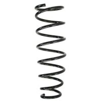 Fahrwerksfeder-Set hinten Schraubenfeder 359mm SPIDAN...