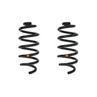 Suspension spring set rear coil spring 259mm SPIDAN for...