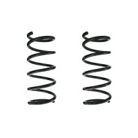 Suspension spring set rear coil spring 320mm SPIDAN for...