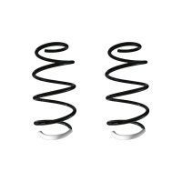 Suspension spring set front coil spring 342mm SPIDAN for...