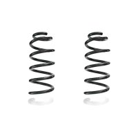 Suspension spring set rear coil spring 287mm SPIDAN for...