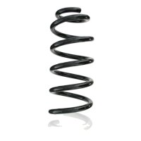 Suspension spring set rear coil spring 287mm SPIDAN for...