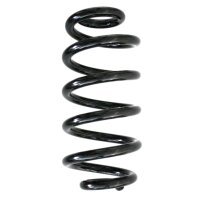 Fahrwerksfedern-Set hinten Schraubenfeder 297mm SPIDAN...