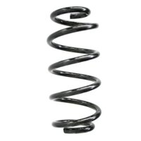 Fahrwerksfeder-Set vorne Schraubenfeder 324mm SPIDAN...