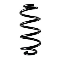 Fahrwerksfeder-Set hinten Schraubenfeder 248mm SPIDAN...
