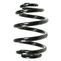 Fahrwerksfeder-Set hinten Schraubenfeder 224mm SPIDAN...