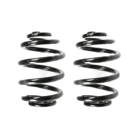 Suspension spring set rear coil spring 224mm SPIDAN for...