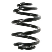 Suspension spring set rear coil spring 224mm SPIDAN for...