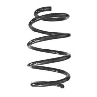 Fahrwerksfeder-Set vorne Schraubenfeder 253mm SPIDAN...
