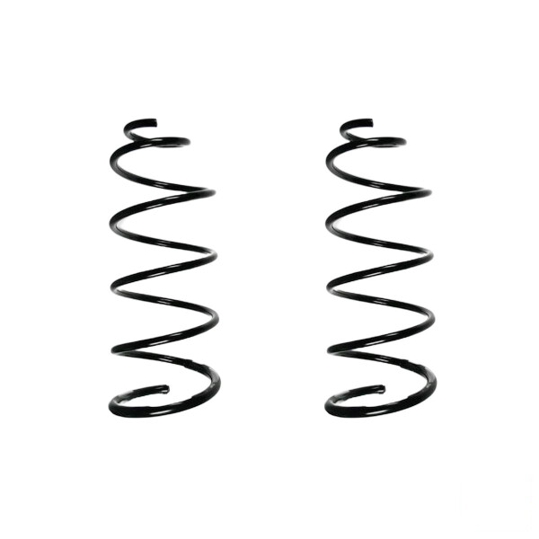 Suspension spring set front coil spring 445mm SPIDAN for PEUGEOT 307 3A/C