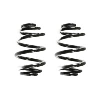 Fahrwerksfeder-Set hinten Schraubenfeder 239mm SPIDAN...