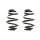 Suspension spring set rear coil spring 239mm SPIDAN for BMW 3 Touring