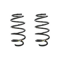 Fahrwerksfeder-Set vorne Schraubenfeder 294mm SPIDAN...