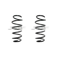 Fahrwerksfedern-Set vorne Schraubenfeder 323mm SPIDAN...