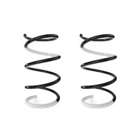 Fahrwerksfeder-Set vorne Schraubenfeder 347mm SPIDAN...