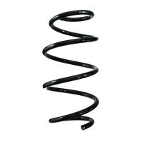 Fahrwerksfeder-Set vorne Schraubenfeder 317mm SPIDAN...