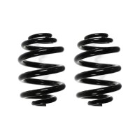 Fahrwerksfeder-Set hinten Schraubenfeder 252mm SPIDAN...