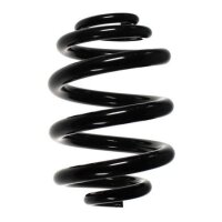 Fahrwerksfeder-Set hinten Schraubenfeder 252mm SPIDAN...