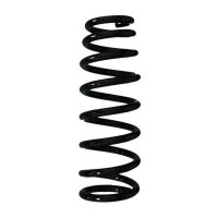 Fahrwerksfeder-Set hinten Schraubenfeder 323mm SPIDAN...