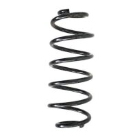 Fahrwerksfeder-Set hinten Schraubenfeder 320mm SPIDAN...