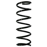Fahrwerksfeder-Set hinten Schraubenfeder 319mm SPIDAN...