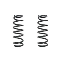 Suspension spring set rear coil spring 300mm SPIDAN for...