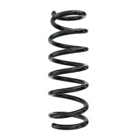 Suspension spring set rear coil spring 300mm SPIDAN for...
