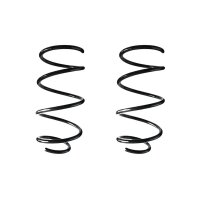 Fahrwerksfeder-Set vorne Schraubenfeder 315mm SPIDAN...