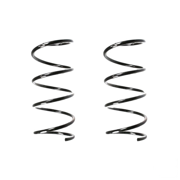 Suspension spring set Replacement Fit SPIDAN for RENAULT TWINGO I
