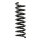 Fahrwerksfeder-Set hinten Schraubenfeder 326mm SPIDAN für MERCEDES C-KLASSE