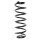 Fahrwerksfeder-Set hinten Schraubenfeder 329mm SPIDAN für AUDI TT Roadster